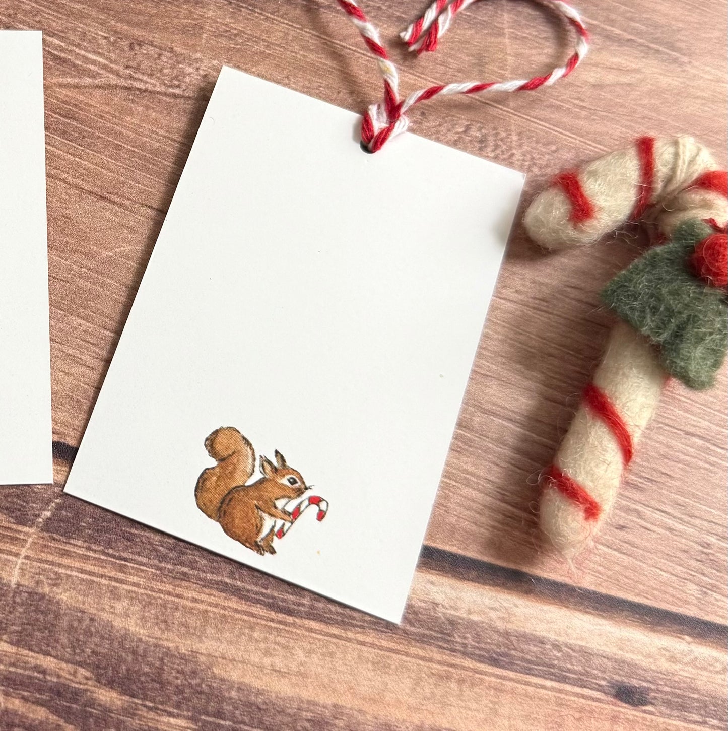 Needle Holder - The Snowflake Cottage (LIMITED EDITION)