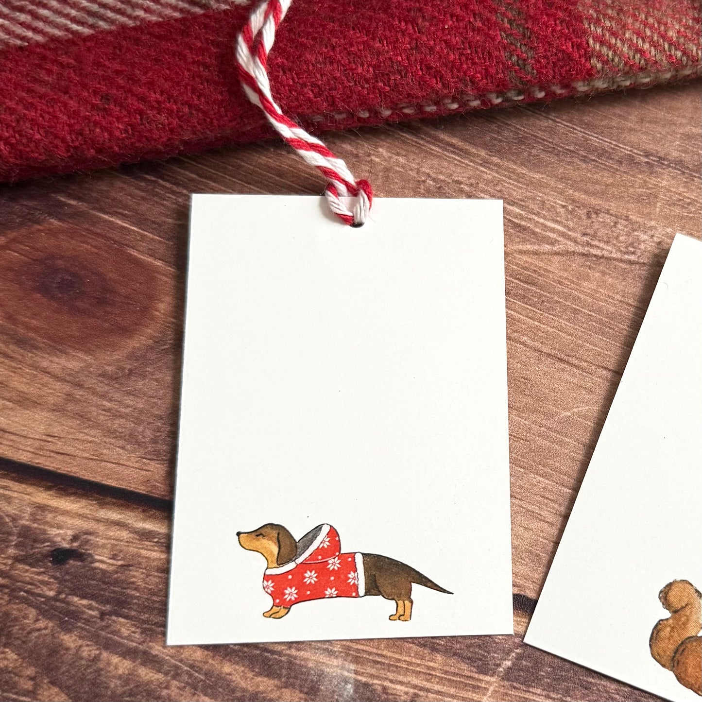 Needle Holder - The Snowflake Cottage (LIMITED EDITION)